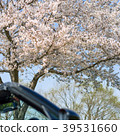 Open car and cherry blossom Open car and cherry blossom 39531660
