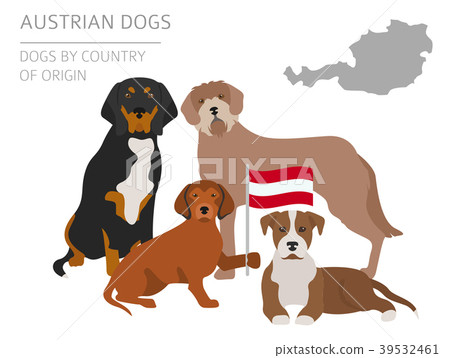 Dogs by country of origin. Austrian dog breeds 39532461