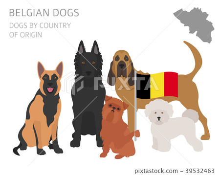 Dogs by country of origin. Belgium dog breeds 39532463