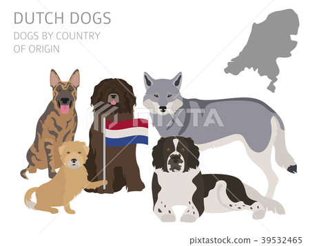 Dogs By Country Of Origin Dutch Dog Breeds Stock Illustration 39532465 Pixta