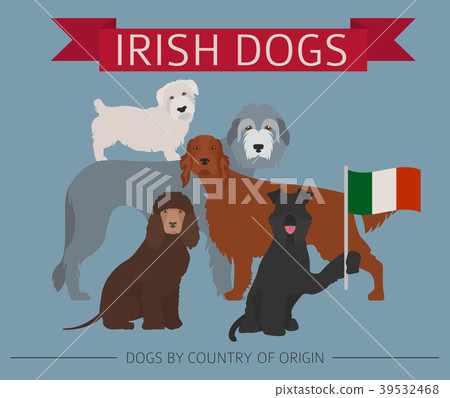 Dogs by country of origin. Irish dog breeds 39532468