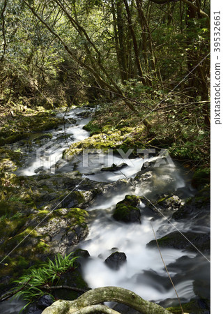 Meisho Narutaki Gorge 39532661