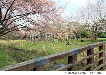 Yamato City, Kanagawa Prefecture Fureai no Mori Hikichigawa Yamato City, Kanagawa Prefecture Fureai no Mori Hikichigawa 39533060