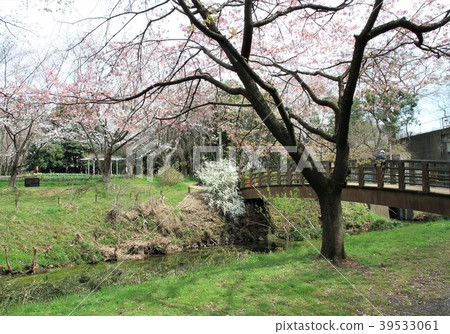 Yamato City, Kanagawa Prefecture Fureai no Mori Hikichigawa 39533061