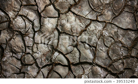Cracked earth Cracked earth 39533249