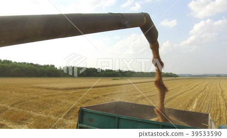 Combine harvester unloading architecture grain Combine harvester unloading architecture grain 39533590