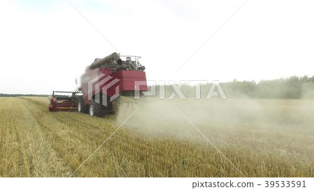 Combine harvester. Wheat harvesting shearers Combine harvester. Wheat harvesting shearers 39533591