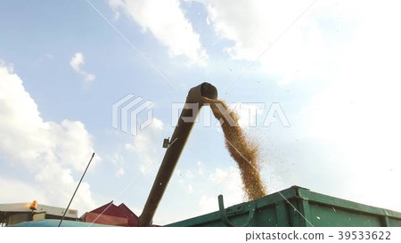 Combine harvester unloading grain into a wagon 39533622