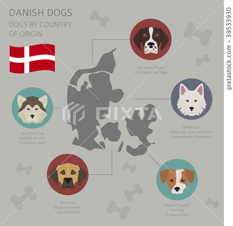 Dogs by country of origin. Danish dog breeds Dogs by country of origin. Danish dog breeds 39533930