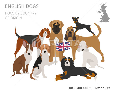 Dogs by country of origin. English dog breeds 39533956