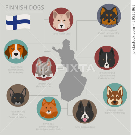 Dogs by country of origin. Finnish dog breeds 39533965