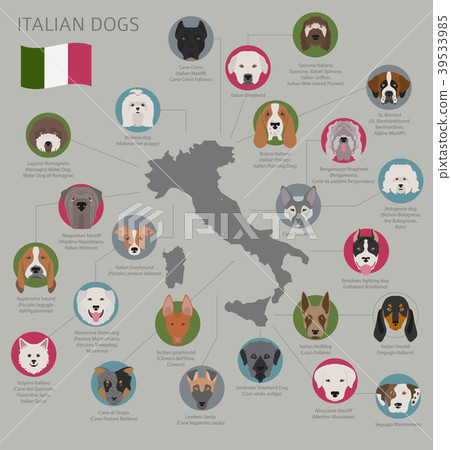 Dogs by country of origin. Italian dog breeds 39533985