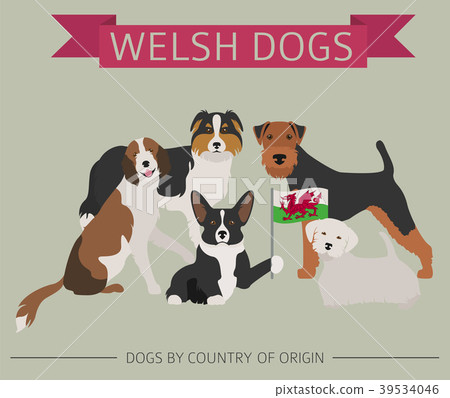 Dogs by country of origin. Walsh dog breeds Dogs by country of origin. Walsh dog breeds 39534046