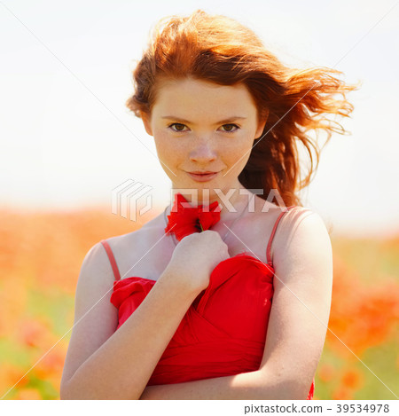beautiful girl in poppy field beautiful girl in poppy field 39534978