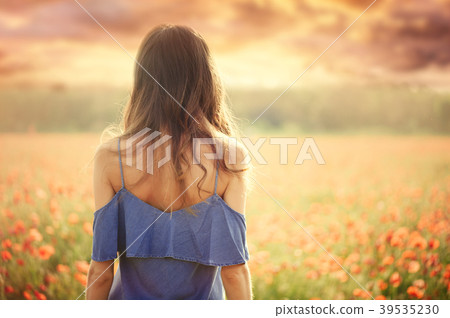 beautiful woman in a blue dress in a wheat field beautiful woman in a blue dress in a wheat field 39535230