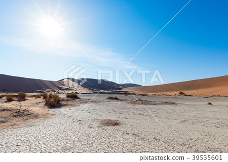 Sossusvlei, Namib Naukluft National Park  39535601