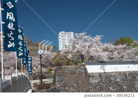 甲府城堡在春天 39536215