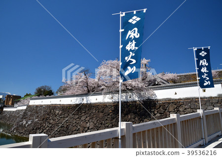 甲府城堡在春天 甲府城堡在春天 39536216