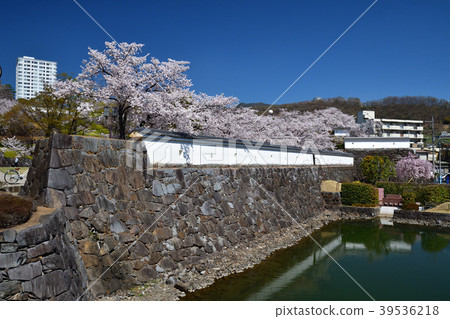 甲府城堡在春天 甲府城堡在春天 39536218