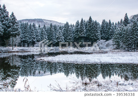 Winter pond 39536338