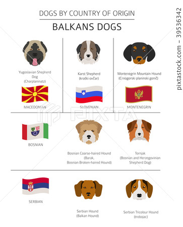 are serbian hounds good family pets