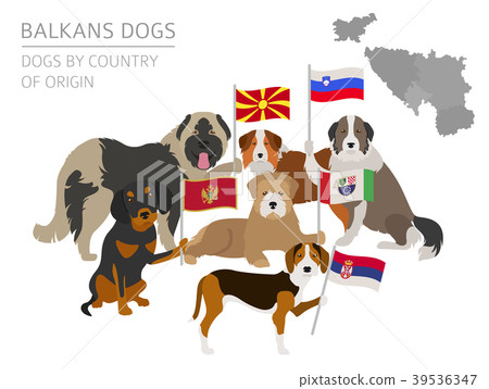 Dogs by country of origin. Balkans dog breeds 39536347