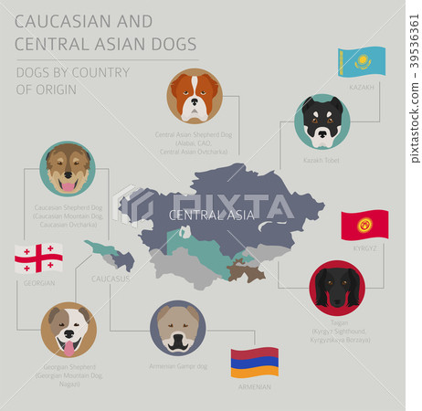 Caucasian and Central Asian dog breed Caucasian and Central Asian dog breed 39536361