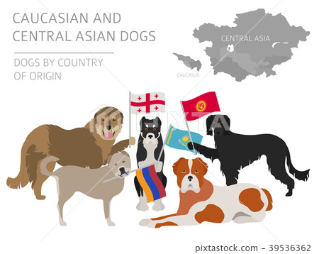 Caucasian and Central Asian dog breed Caucasian and Central Asian dog breed 39536362
