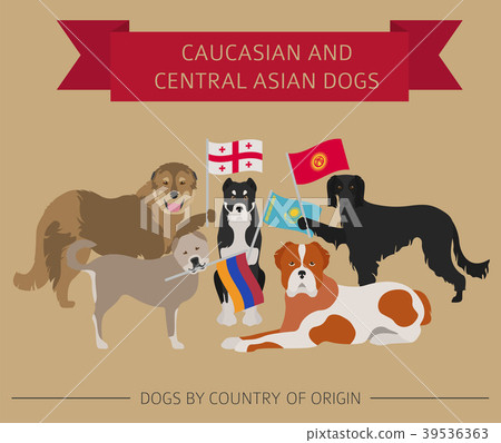 Caucasian and Central Asian dog breed Caucasian and Central Asian dog breed 39536363