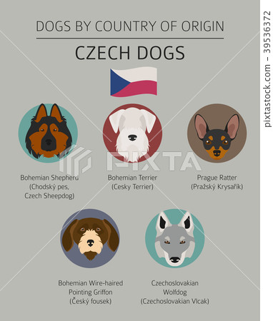 Dogs by country of origin. Czech dog breeds Dogs by country of origin. Czech dog breeds 39536372