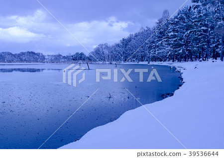 Winter Lake Biwa scenery taken in Kohoku Town, Takashima City, Shiga Prefecture 39536644