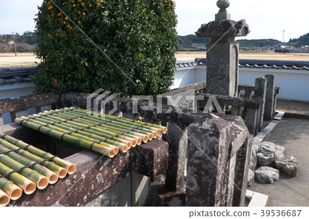 Ii誕生了很好的互助保險 39536687