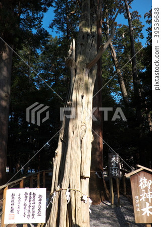 Tenshi Sugi Kamiki Shrine Shrine 39536688