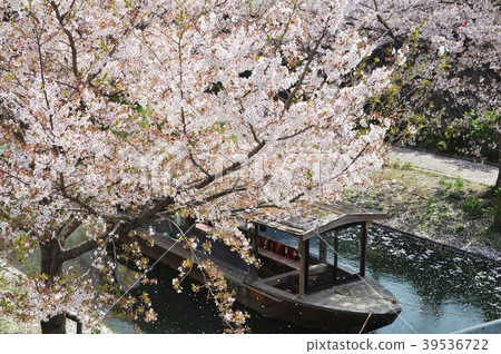 Ten Stone Passion and Cherry Blossom Ten Stone Passion and Cherry Blossom 39536722