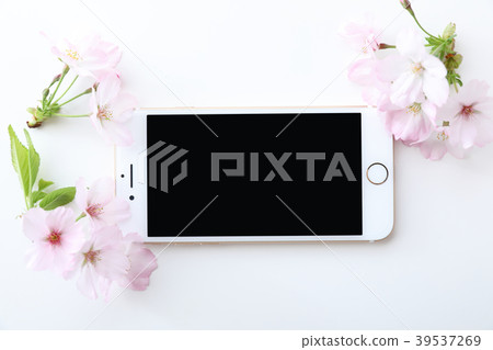 Sakura and smartphone Sakura and smartphone 39537269