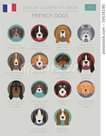Dogs by country of origin. French dog breeds Dogs by country of origin. French dog breeds 39538190
