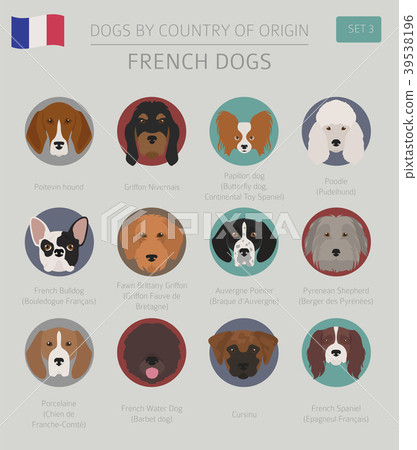 Dogs by country of origin. French dog breeds. Dogs by country of origin. French dog breeds. 39538196