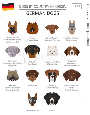 Dogs by country of origin. German dog breeds 39538203