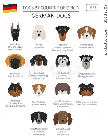 german hound breeds