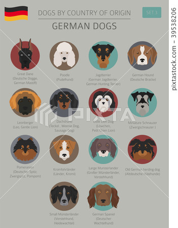 how many dog breeds originated in germany