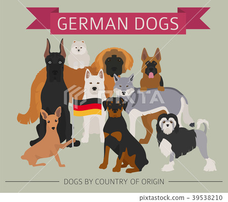 Dogs by country of origin. German dog breeds Dogs by country of origin. German dog breeds 39538210