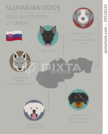 Dogs by country of origin. Slovakian dog breeds Dogs by country of origin. Slovakian dog breeds 39538220