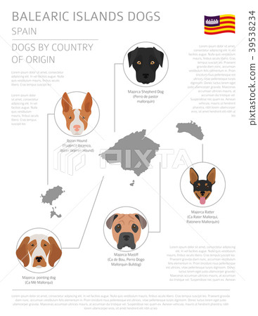 Dogs by country of origin. Balearic islands dogs 39538234