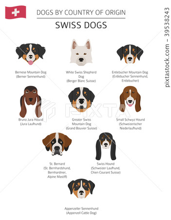 Dogs by country of origin. Swiss dog breeds Dogs by country of origin. Swiss dog breeds 39538243