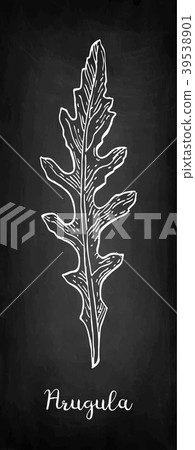 Chalk sketch of arugula 39538901