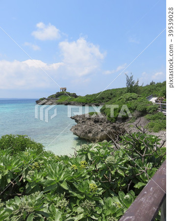 海洋(從宮古島海洋公園長廊觀看) 海洋(從宮古島海洋公園長廊觀看) 39539028