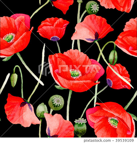 Wildflower poppy flower pattern in a watercolor Wildflower poppy flower pattern in a watercolor 39539109