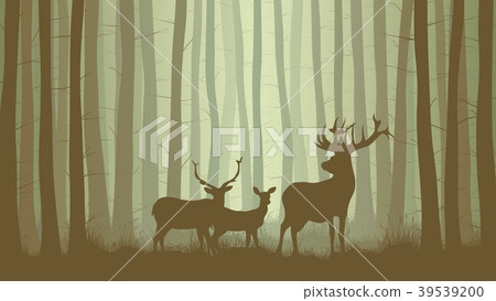 llustration of misty forest withfamily deer. 39539200