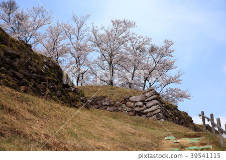 城堡廢墟春天 39541115