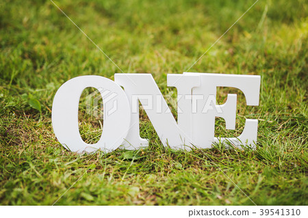 Word One on grass as decor Word One on grass as decor 39541310